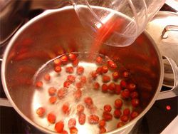 Шиповник — это витаминная кладовая для детей