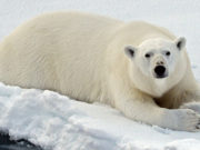 Какой праздник 27 февраля