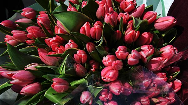 Какие цветы дарят российские мужчины на 8 Марта