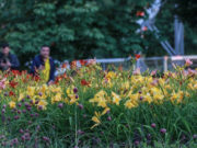 Какой климат поможет бороться с COVID-19