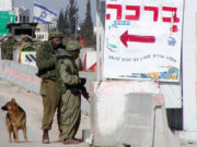 Кто победит в «войне разведок» во время пандемии?