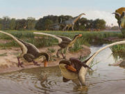 Палеонтологи открыли нового пернатого динозавра