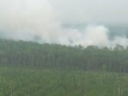 Регионы оказались не готовы к сезону лесных пожаров