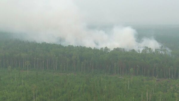 Регионы оказались не готовы к сезону лесных пожаров
