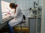 Власти Китая выделят ВОЗ $20 млн на борьбу с коронавирусом