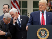 В США разработают сайт для проверки на коронавирус