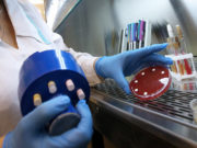 Еще у двух приморцев подтвержден коронавирус