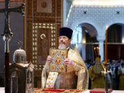 Протоиерей Николай Балашов заразился коронавирусом