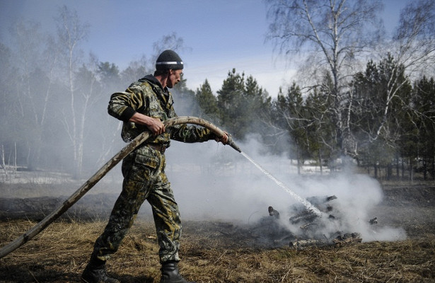 Раскрыта ситуация с пожарами в чернобыльской зоне