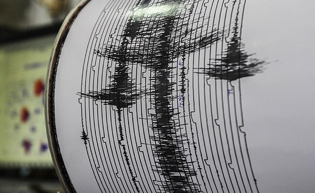 У побережья Камчатки произошло землетрясение