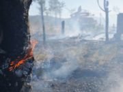 В МЧС рассказали о самых пожароопасных российских регионах