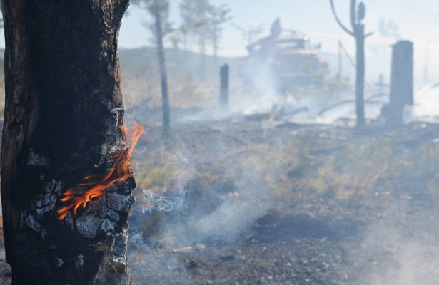 В МЧС рассказали о самых пожароопасных российских регионах