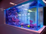 Выбираем аквариум в интерьер гостиной