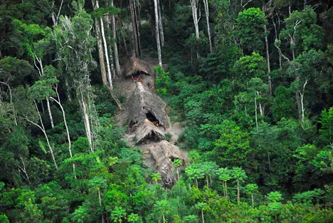 Бразильские военные защитят леса Амазонии от уничтожения