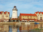 Калининград ответил на слова США о «кинжале в сердце Европы»