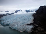 Масштабы глобальной катастрофы показали на видео