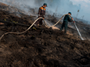 Россиян предупредили о пожарах, смерчах и шквалах