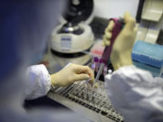 Ученые натравят на коронавирус микробов