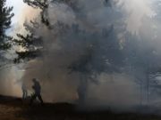 На Камчатке горит лес