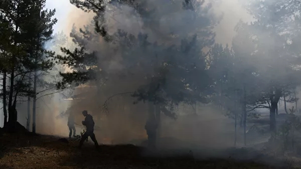 На Камчатке горит лес