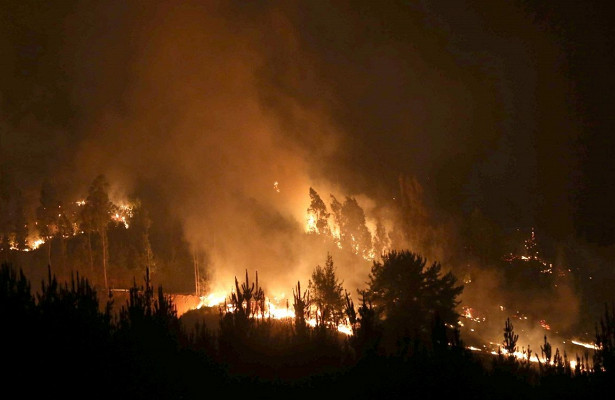 На западе США горят леса