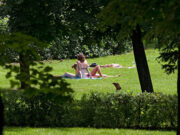 Россиян предупредили об опасности загара парках