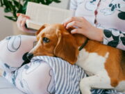 Россиян ждет четырехдневная рабочая неделя