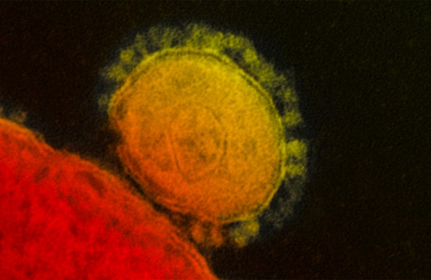 В США рассказали о «зловещих щупальцах» коронавируса
