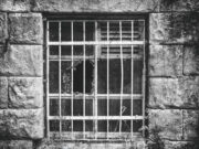 Иностранцы сбежали из Центра временного содержания в РФ