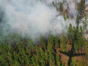 Небывалая жара и лесные пожары: Сибирь задыхается