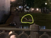 Появилось фото убийцы лебедя на Патриарших прудах