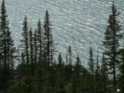 В Хабаровске возбудили дело после рубок у озера Амут