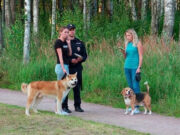 Чиновники проинспектировали испражнения собак