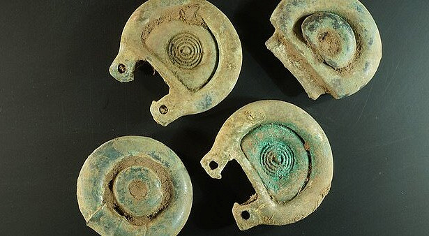 Металлодетектор кладоискателя засек 3000-летний тайник