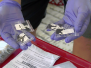 Объяснена тайна сотен посылок из Китая с семенами