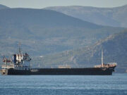 Раскрыт покупатель взорвавшейся в Бейруте селитры