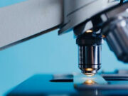 В США провели ДНК-исследование о рабстве