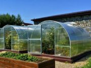 Теплицы из сотового поликарбоната: причины выбора