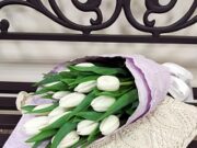 Тюльпаны – нежность и чувственность в одном букете