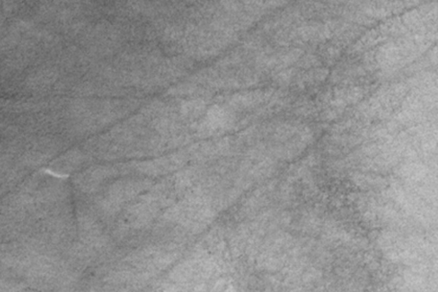 Фото гигантских смерчей на Марсе попало в Сеть