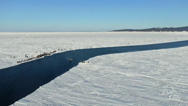 На Сахалине спасли со льдины 26 рыбаков