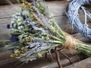 Лекарственные травы «Адоннис»: разновидности, назначение