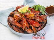 Раки: как выбрать и где заказать уже готовых раков