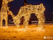 Фестиваль «Не темно» в юбилейный год остался без бюджета: для его проведения ищут стройматериалы и волонтеров