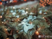 Юбилей фестиваля «Не темно» перенесли на 2022 год – в этом пройдет «репетиция»