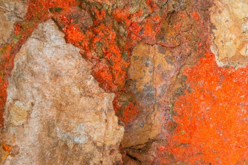 На месте бывшего золотого прииска появится первый в мире подземный музей минералов (ФОТО)
