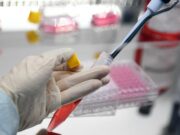 Омикрон-штамм размножается в 70 раз быстрее, чем «дельта», выяснили ученые