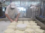 Подмосковье стало лидером среди регионов по производству сыра и йогурта