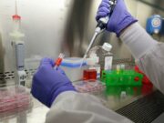 В Японии выявили 15 новых случаев заражения омикрон-штаммом