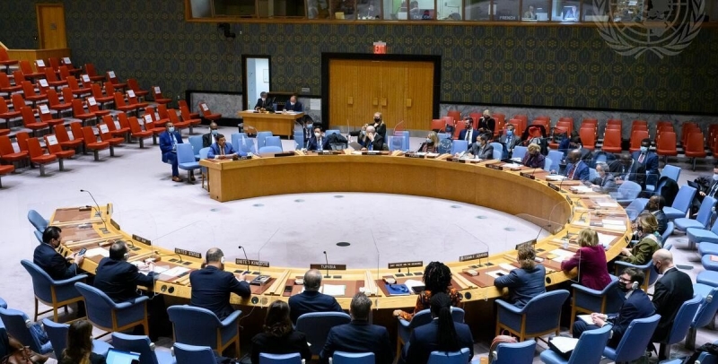 «Зелёная» повестка вбила клин между Россией и Совбезом ООН
